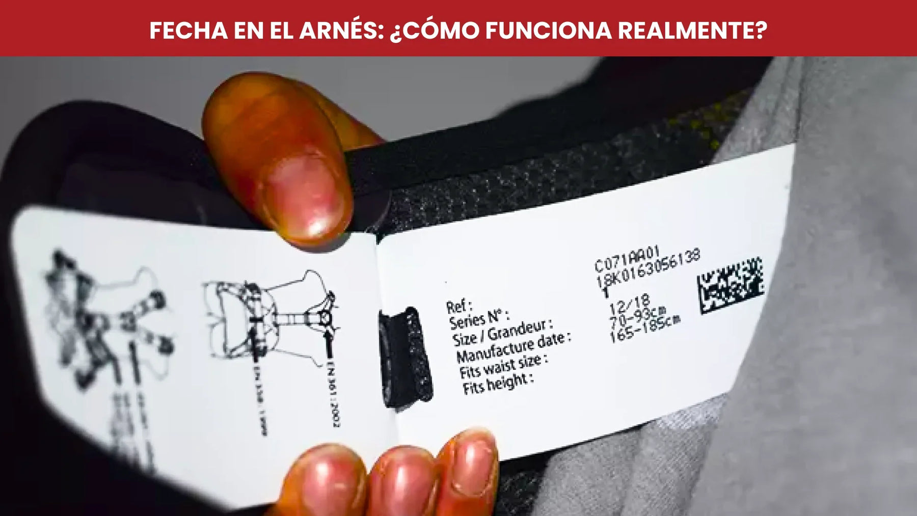 La fecha del arnés: ¿Qué significa realmente?