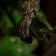 Guantes para Caza y Actividades Deportivas MOSSY OAK®, High-Performance: #77911MSY - DIBAMEX