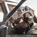 Lentes De Seguridad Tácticos Balísticos SWAT Anti Empaño Obscuros - Bolle Safety 40137 - DIBAMEX